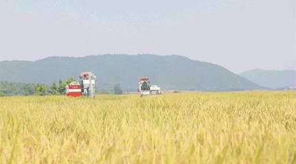 政策東風(fēng)至，農(nóng)機(jī)企業(yè)迎轉(zhuǎn)機(jī) 聚焦農(nóng)業(yè)生產(chǎn)托管服務(wù)的六大戰(zhàn)略機(jī)遇